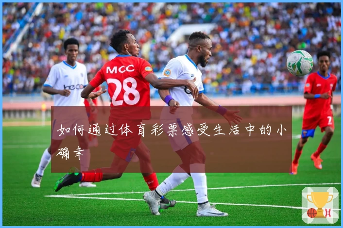 如何通过体育彩票感受生活中的小确幸