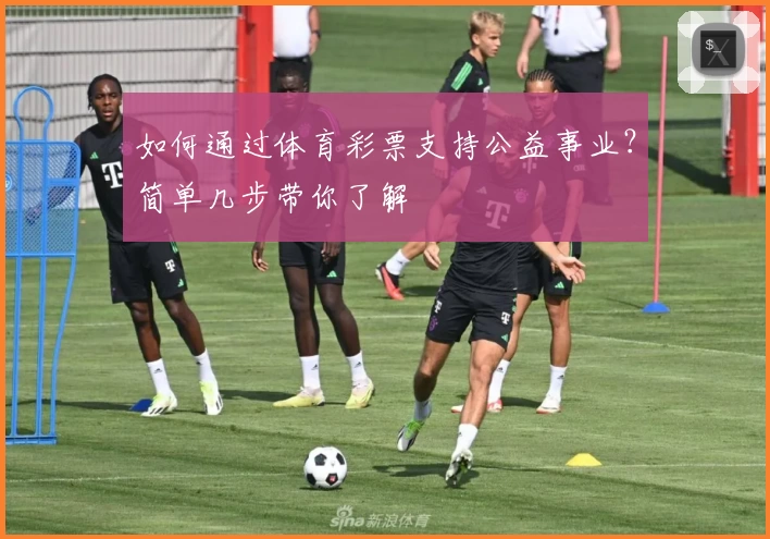 如何通过体育彩票支持公益事业？简单几步带你了解