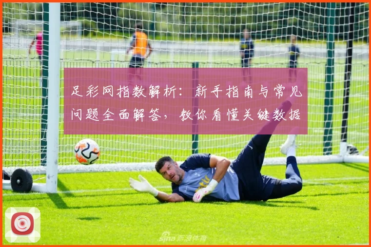 足彩网指数解析：新手指南与常见问题全面解答，教你看懂关键数据