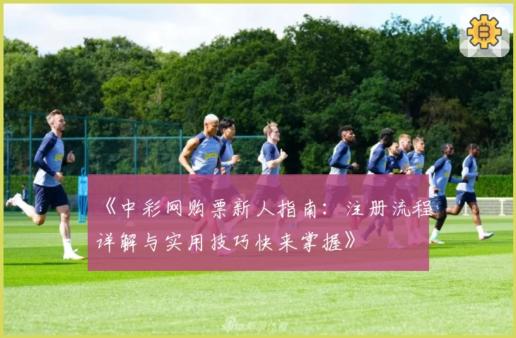 《中彩网购票新人指南：注册流程详解与实用技巧快来掌握》